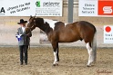 22-APHA HOTC_112